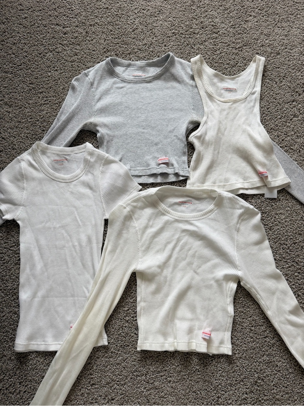 Alexander Wang Bodywear Lot